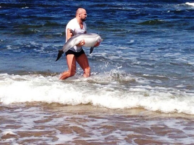 These Amazing People Risked Their Lives To Save Animals image Baby Dolphin Saved By MMA Fighter