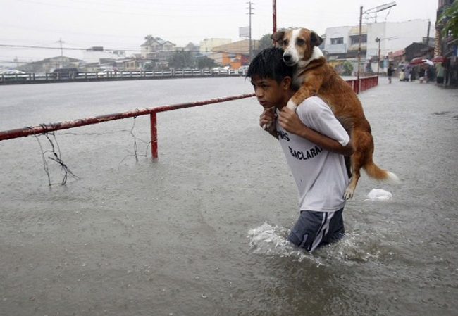 These Amazing People Risked Their Lives To Save Animals image Saving A Dog From a flood