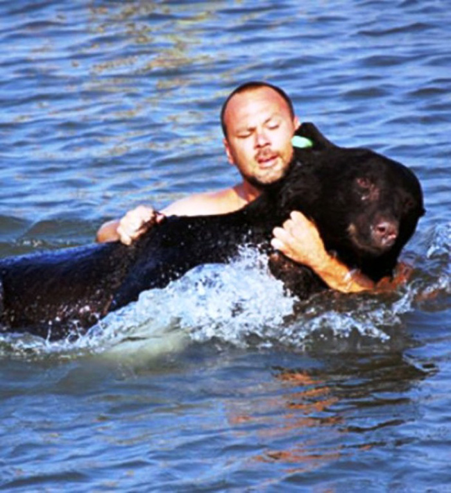 These Amazing People Risked Their Lives To Save Animals image Saving a Black Bear from drowning