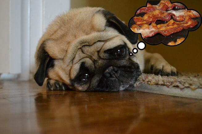 How to Reduce Stress at Work: 6 Simple Strategies Anyone Can Follow - sad bacon dog