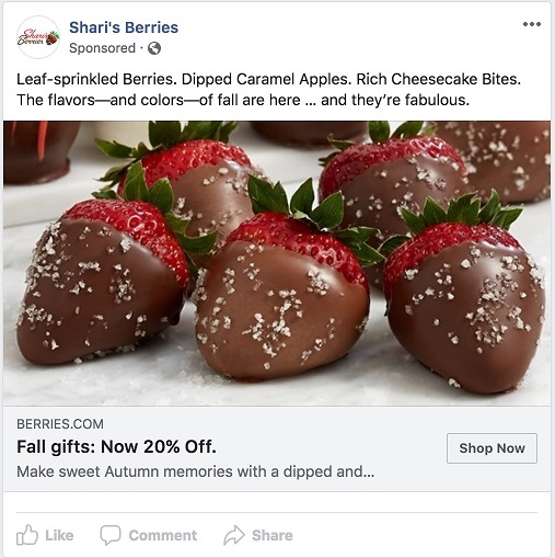 Facebook ad transparency ecommerce strategy Sharis Berries ad