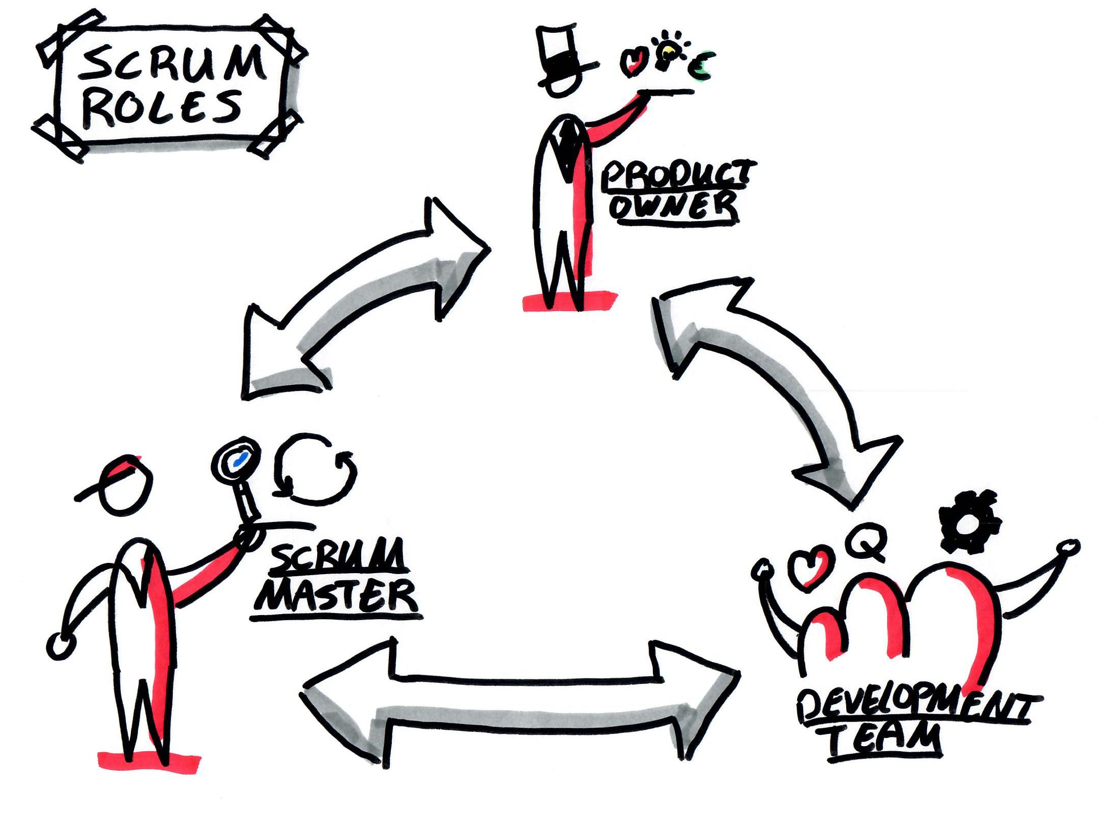 Roles of Scrum