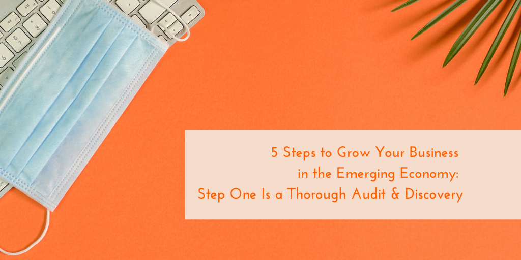 5 Steps to Grow Your Business in the Emerging Economy: Step One is a Thorough Audit  and  Discovery