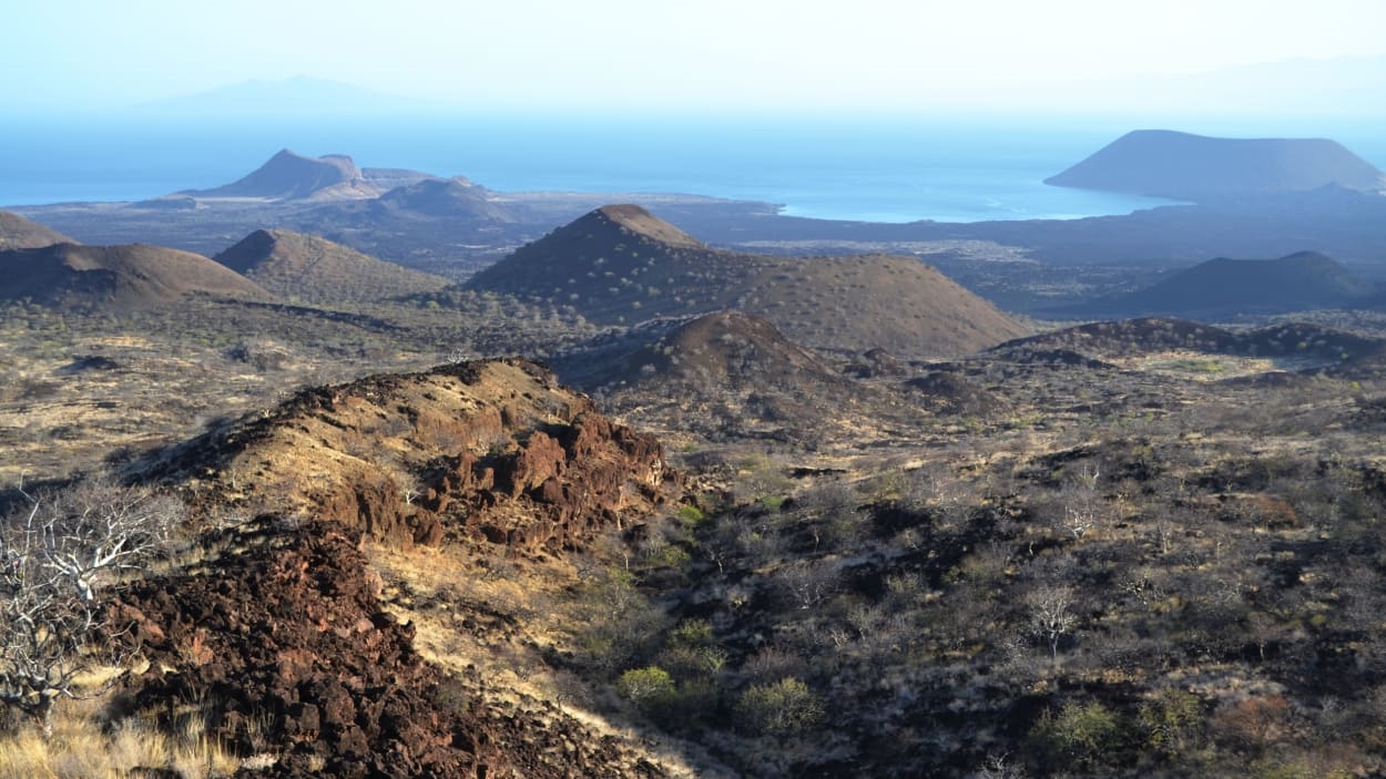 This startup captures CO2 by injecting it straight into volcanic rock