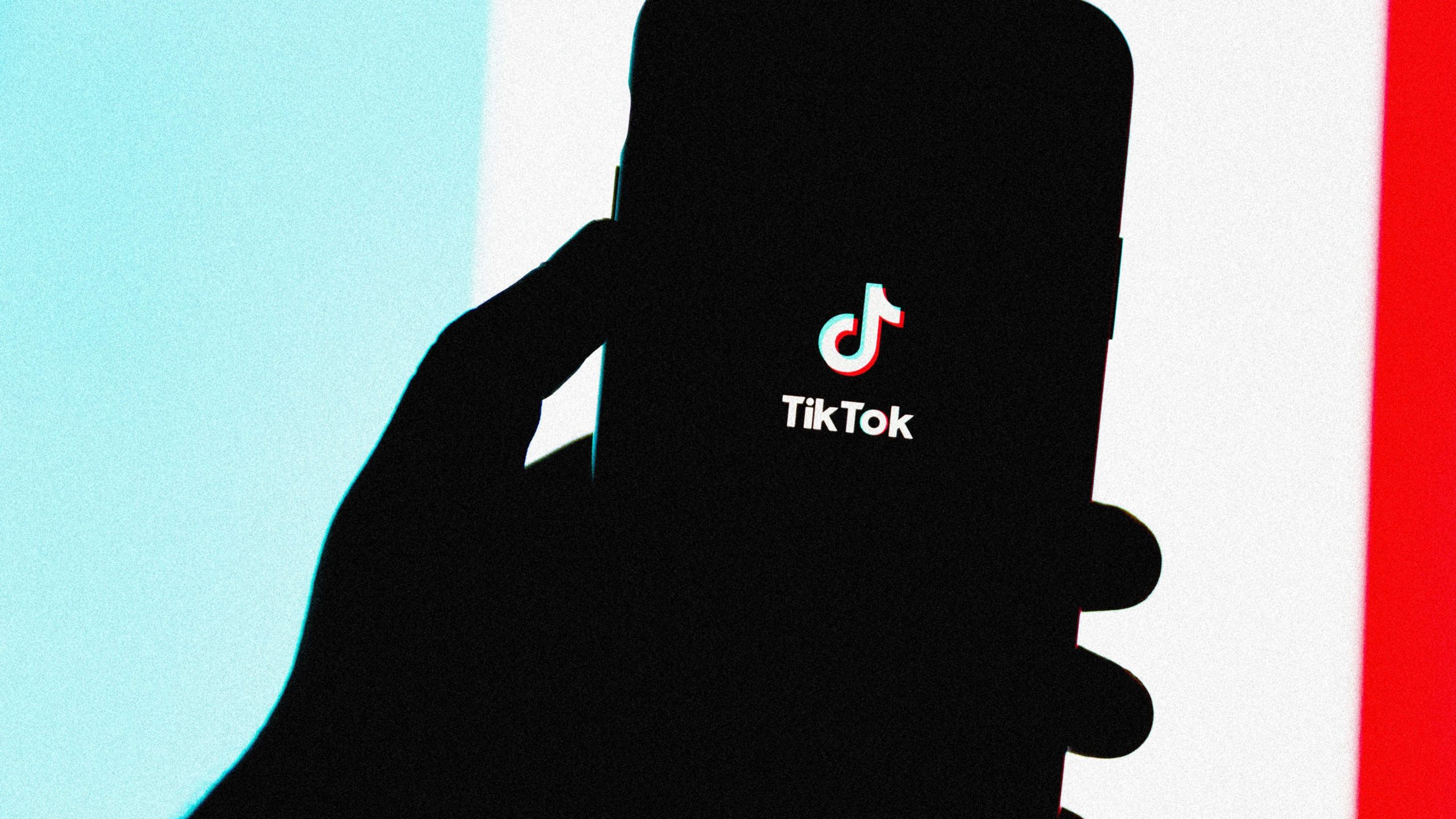 The TikTok ban misses the big picture: America’s social media literary problem