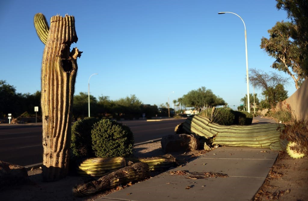 How Phoenix is preparing for another disastrously hot summer