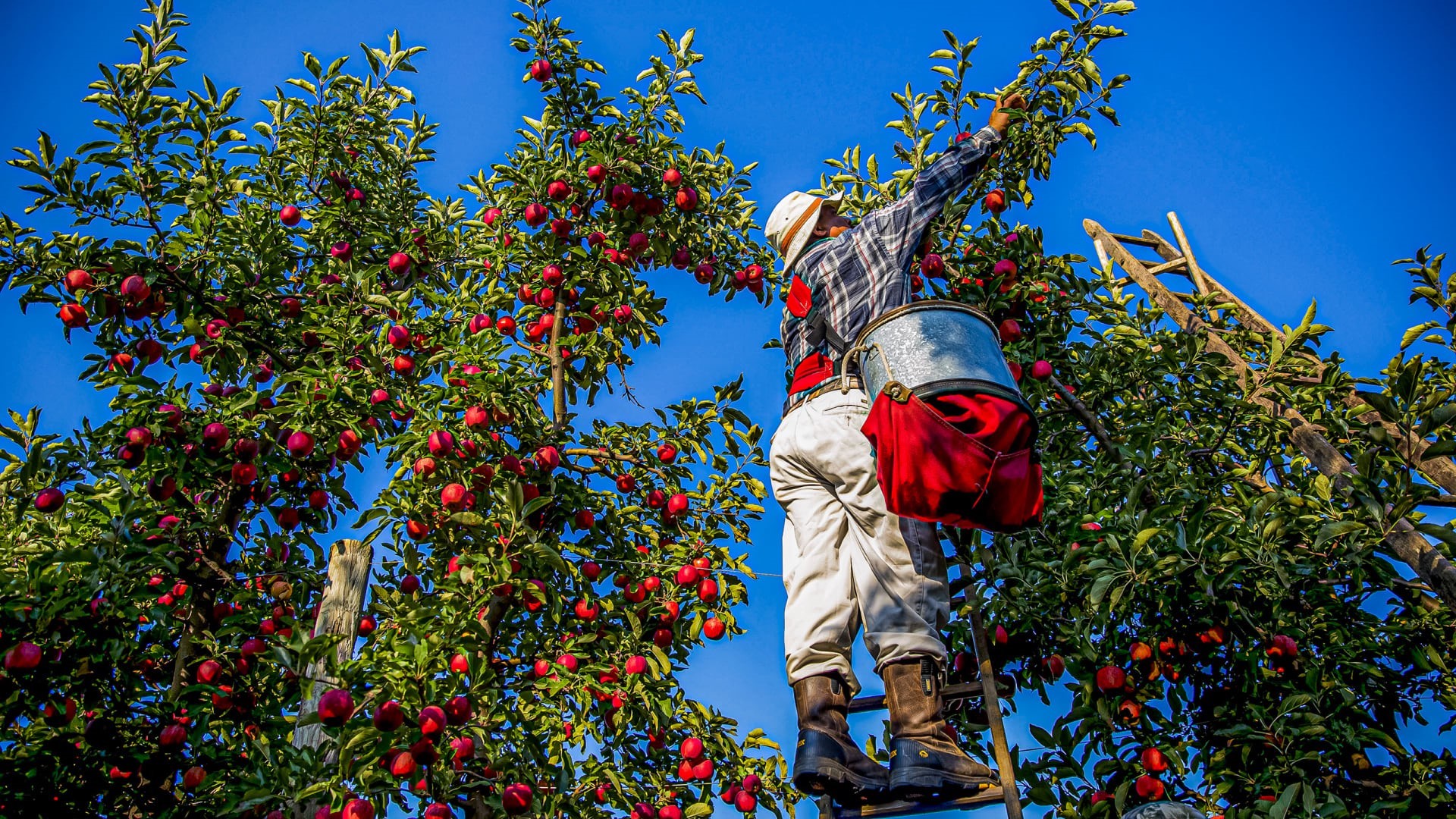 Michigan farmworkers face precarious work and labor exploitation. Many are migrant and seasonal workers